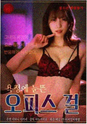 第十九次日落资料卡封面